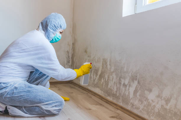 Hvac And Air Duct Mold Remediation inspection of HVAC system in Currituck